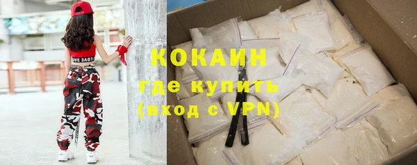 шишки Саяногорск