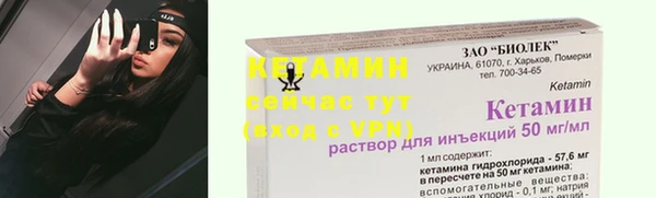 шишки Саяногорск