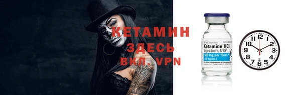 шишки Саяногорск