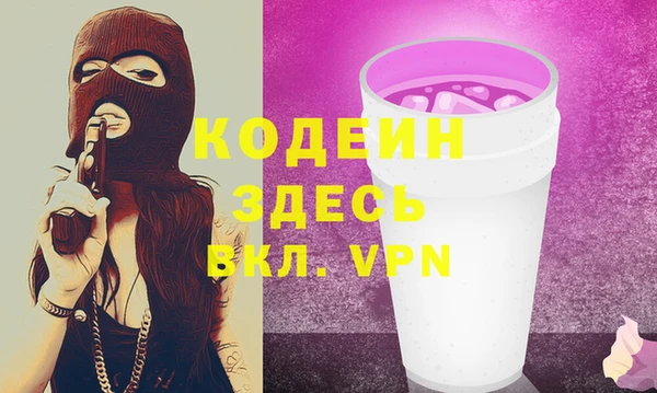 шишки Саяногорск