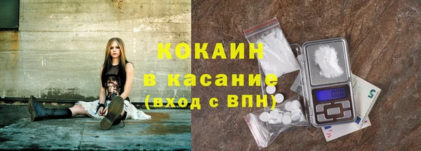 шишки Саяногорск