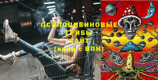 шишки Саяногорск