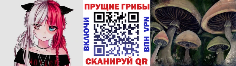 Галлюциногенные грибы Psilocybine cubensis  дарк нет Telegram  Белая Калитва  как найти наркотики 